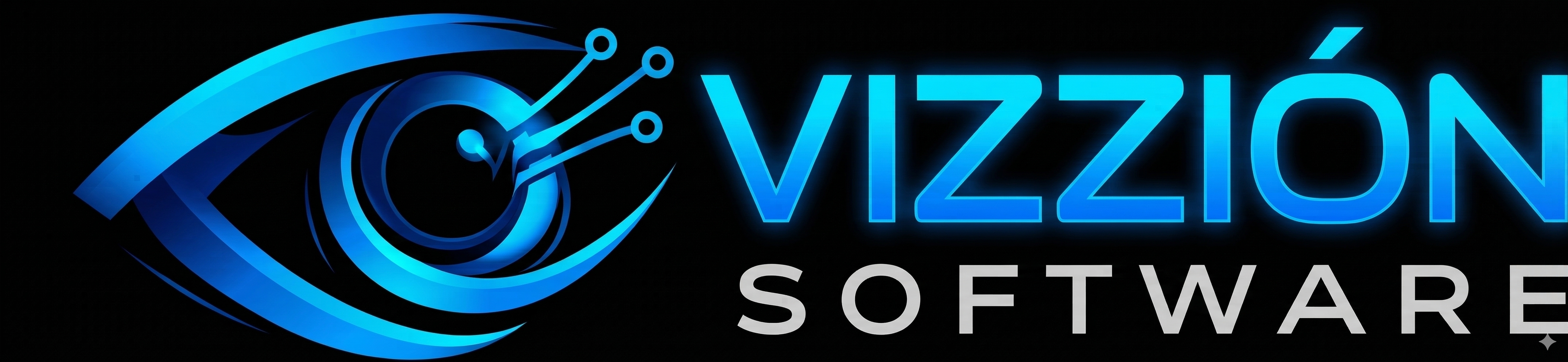 Logo Vizzión Software